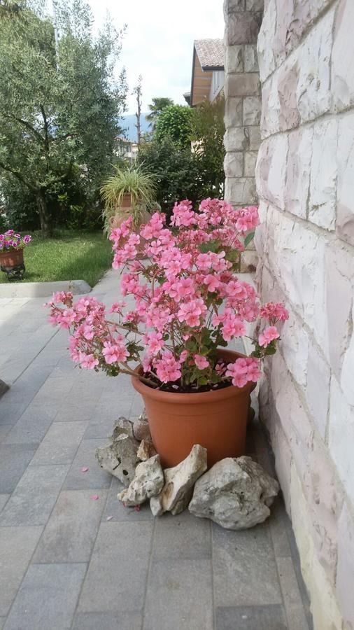 La Residenza Di Bacco Cannara Exterior foto